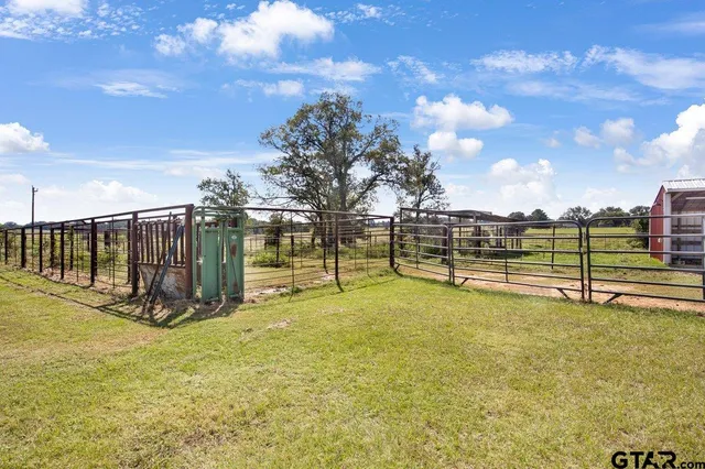 a view of a swimming pool with a yard and a large tree