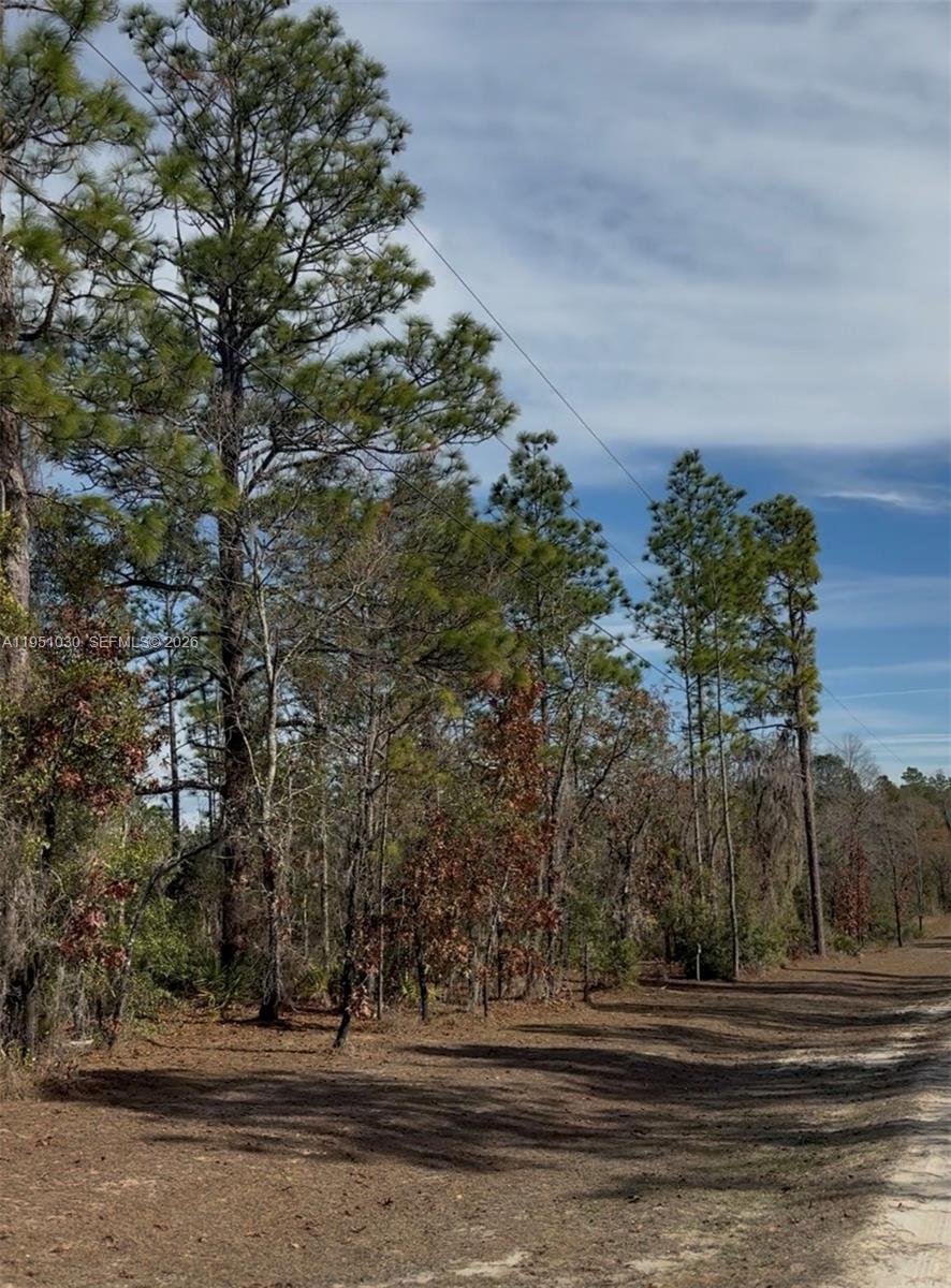 0 Northeast 121 Street Archer, FL 32618 - Photo 5 of 14 Vacant lot