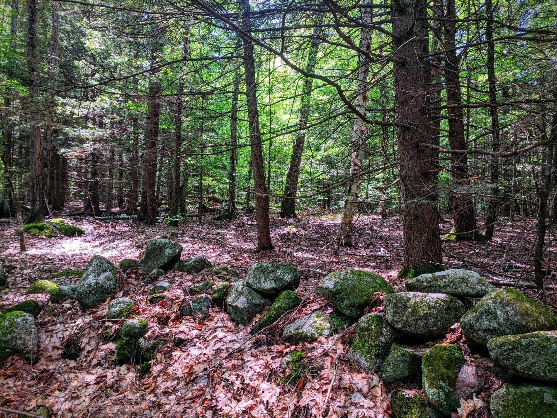0 Cobble Hill Road Spofford, NH 03462 - Photo 17 of 25 Gallery Image 17