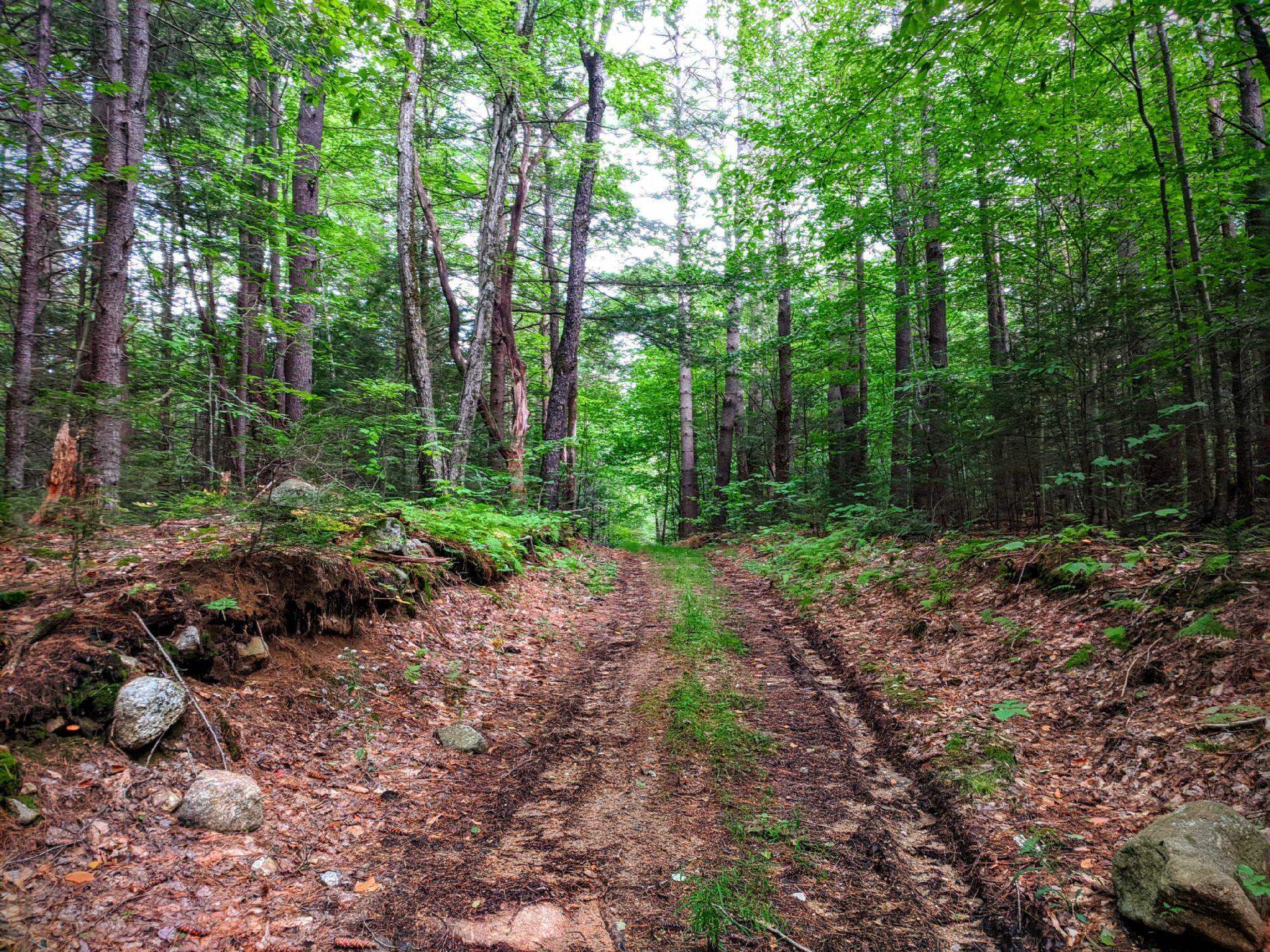 0 Cobble Hill Road Spofford, NH 03462 - Photo 23 of 25 Gallery Image 23