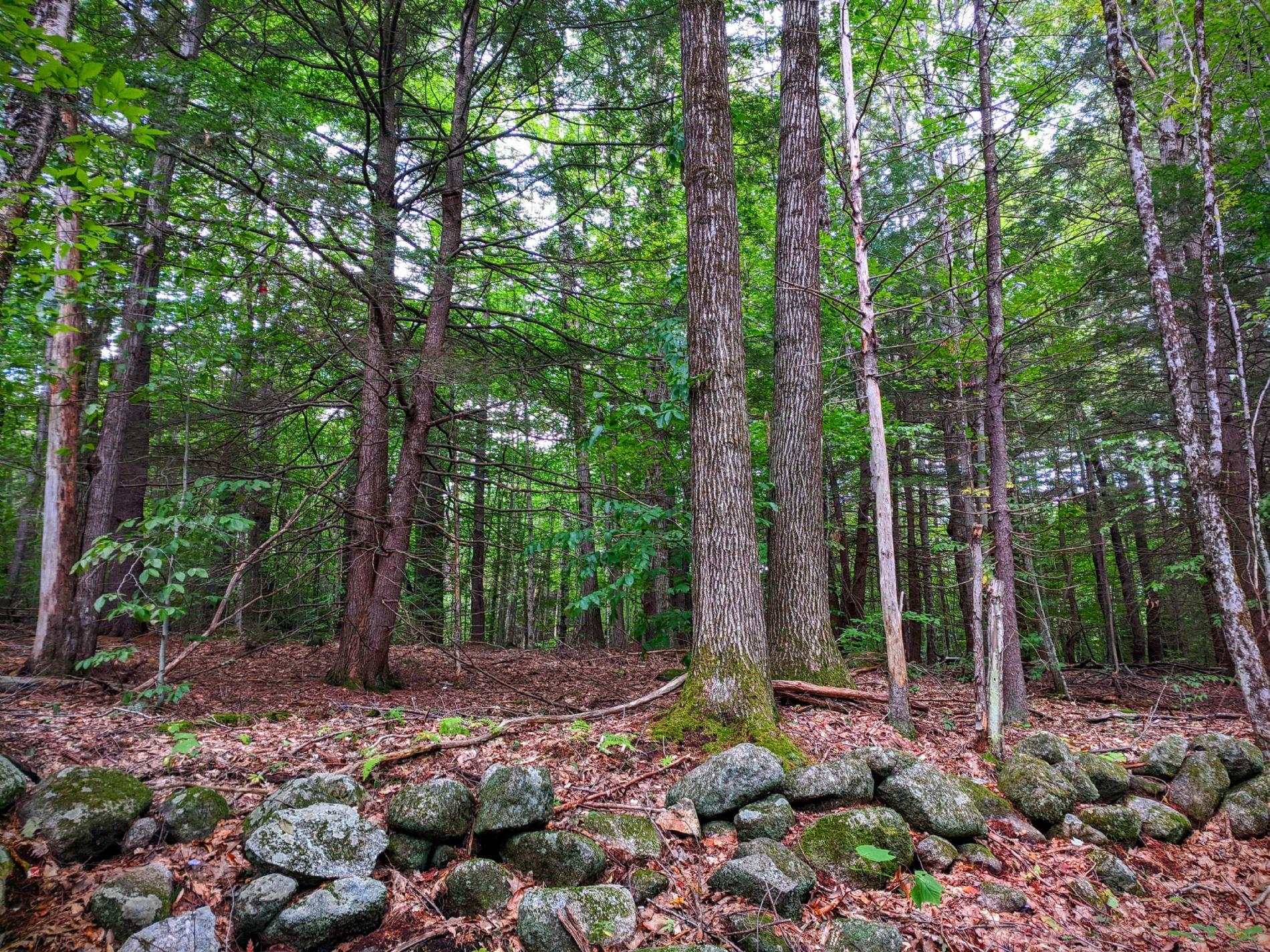 0 Cobble Hill Road Spofford, NH 03462 - Photo 4 of 25 Gallery Image 4
