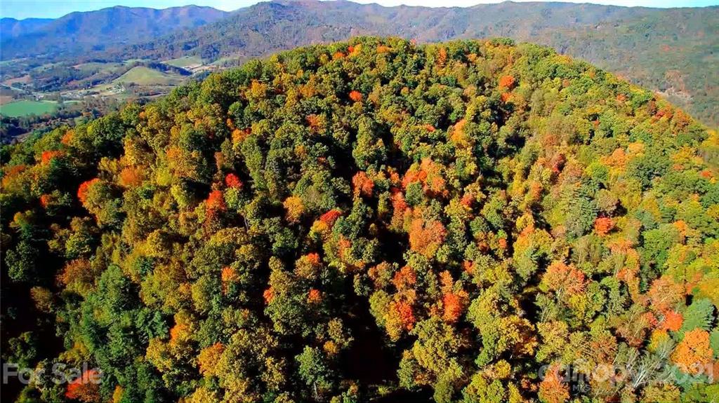 5 B Rabbit Skin Road, Unit TRACT 5B Waynesville, NC 28785 - Photo 1 of 8 Gallery Image 1