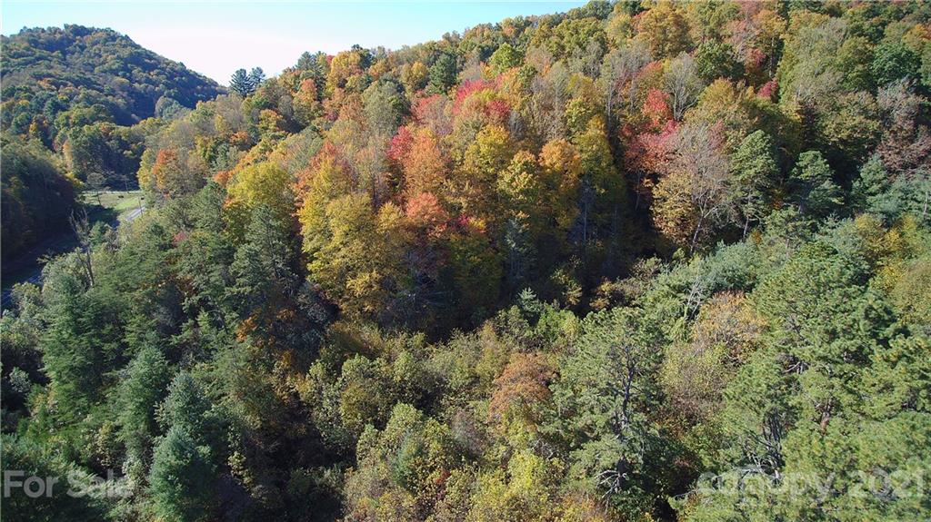5 B Rabbit Skin Road, Unit TRACT 5B Waynesville, NC 28785 - Photo 3 of 8 Gallery Image 3