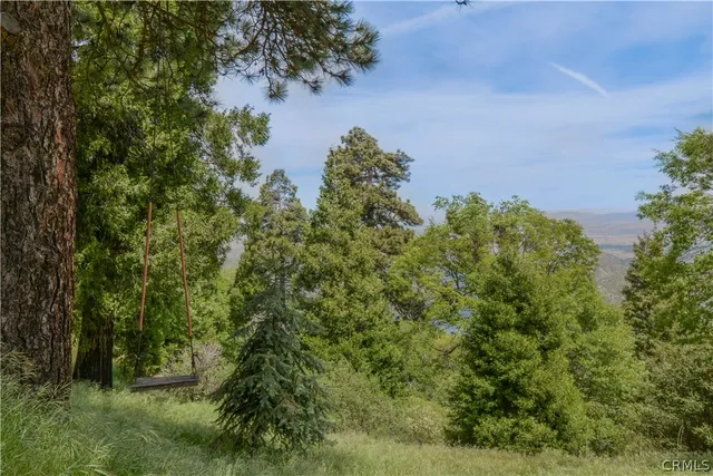 $1,250,000 | 194 Cedar Lake Drive, Cedarpines Park, CA 92322