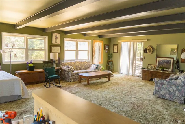 $1,250,000 | 194 Cedar Lake Drive, Cedarpines Park, CA 92322