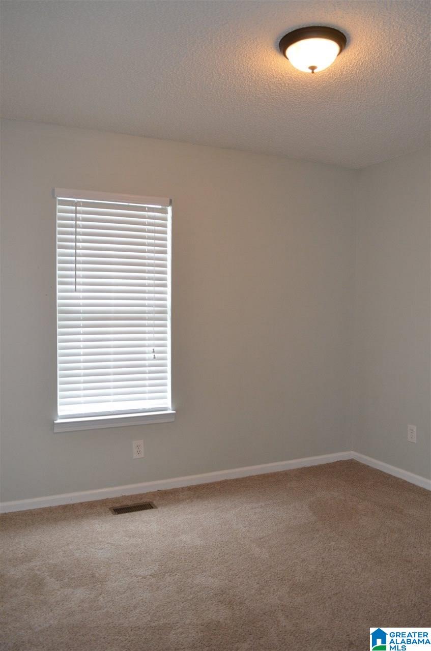 220 Lisa Lane Springville, AL 35146 - Photo 29 of 43