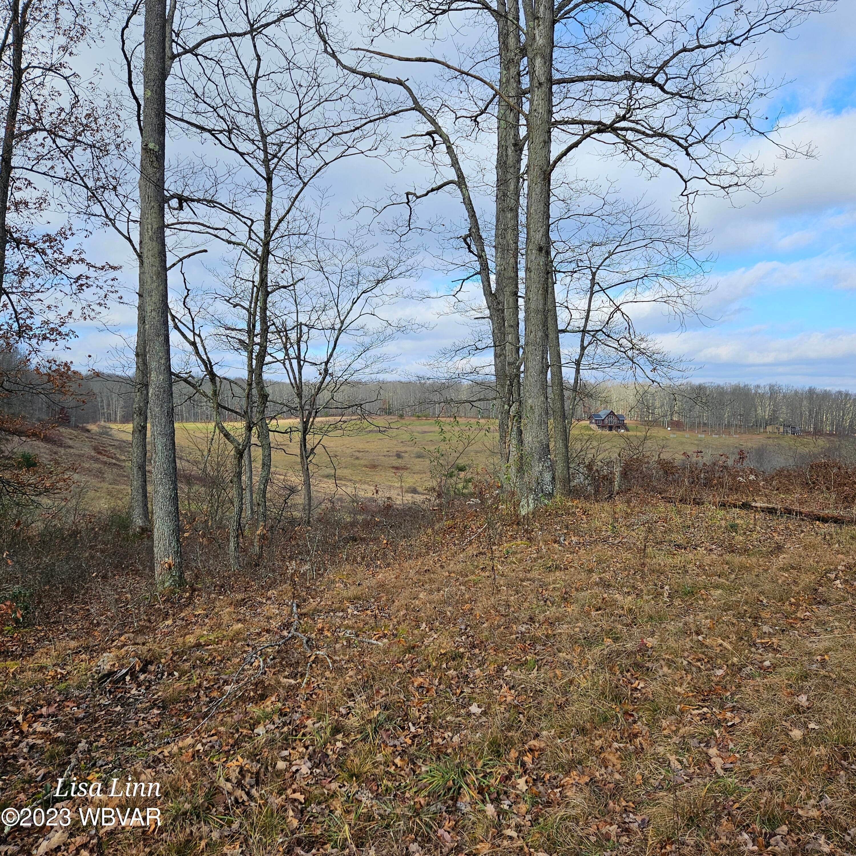 Shintown Road Renovo, PA 17764 - Photo 9 of 16 Gallery Image 9