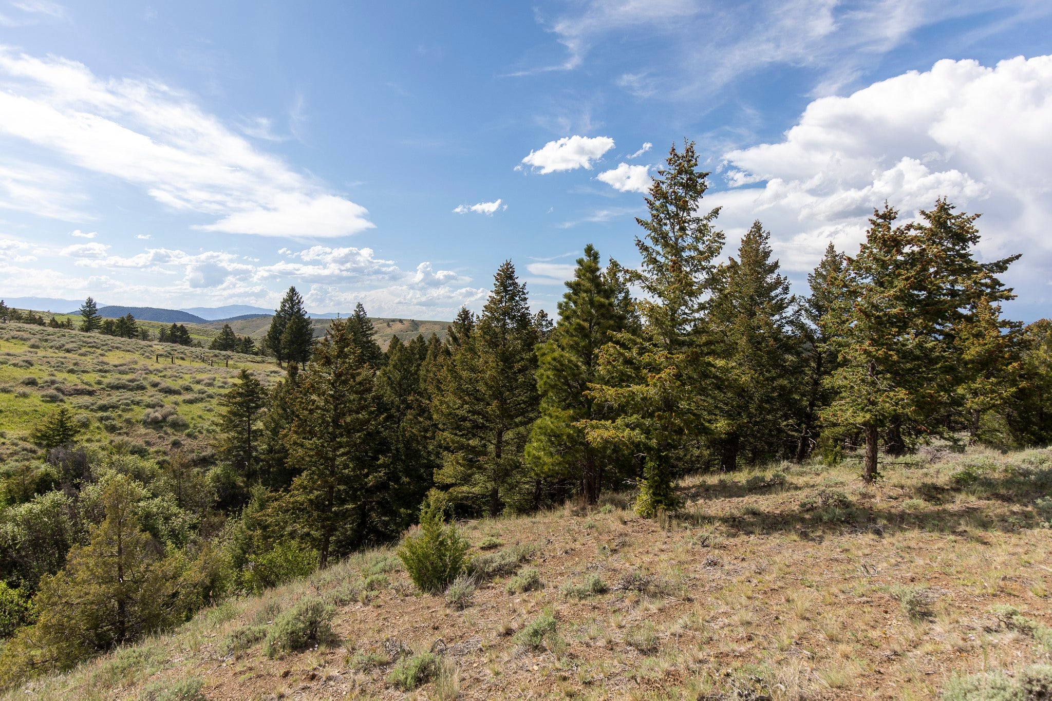 386 Ross Gulch Road Townsend, MT 59644 - Photo 11 of 46 Gallery Image 11