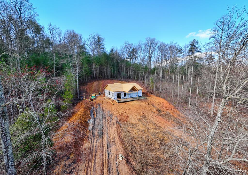 Tbd Butterball Boulevard Murphy, NC 28906 - Photo 9 of 38