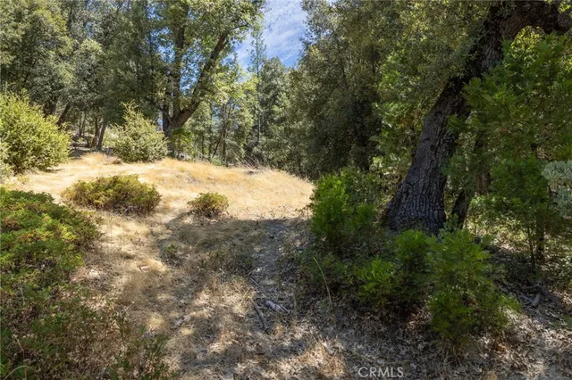 a view of snow covered with trees