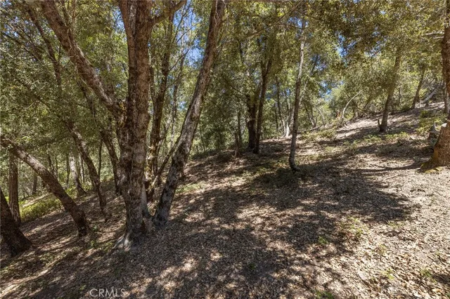 a backyard of a house with lots of trees