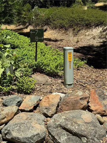 a view of a tree with a park