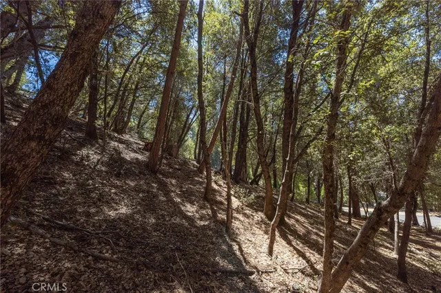 a view of a back yard