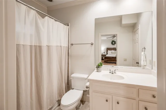 a bathroom with a sink a toilet and shower curtain