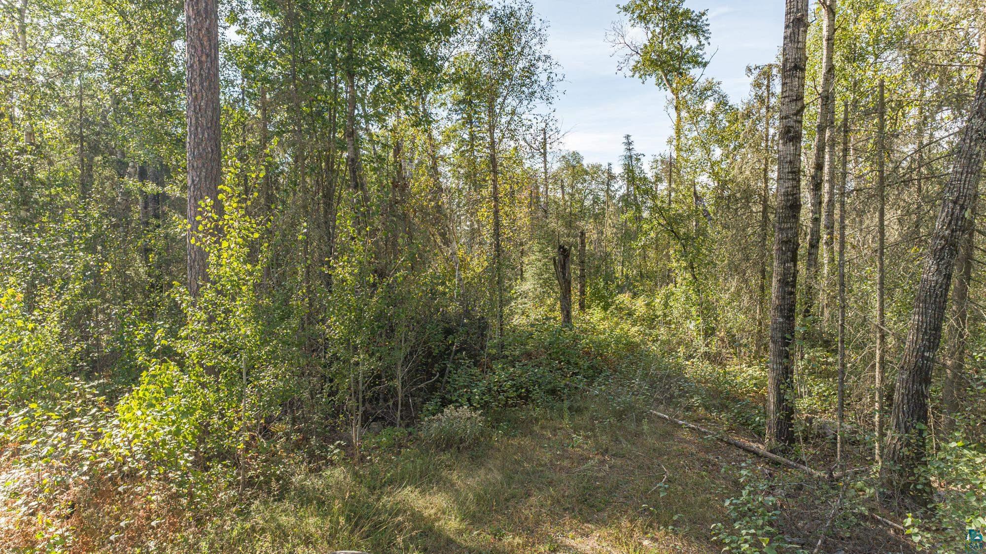 Tbd Sunset Road Ely, MN 55731 - Photo 25 of 40