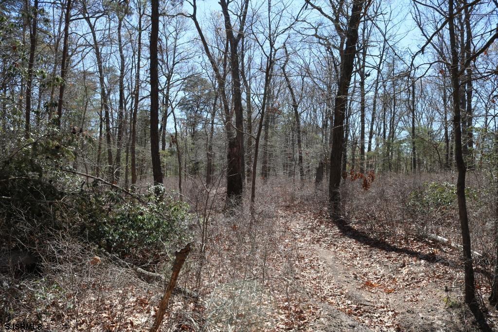351 Shaws Mill Road Newport, NJ 08345 - Photo 20 of 84