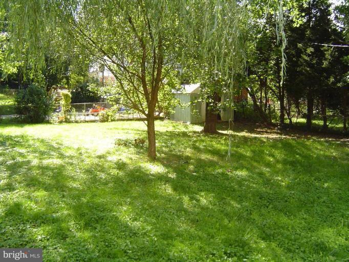 Back yard