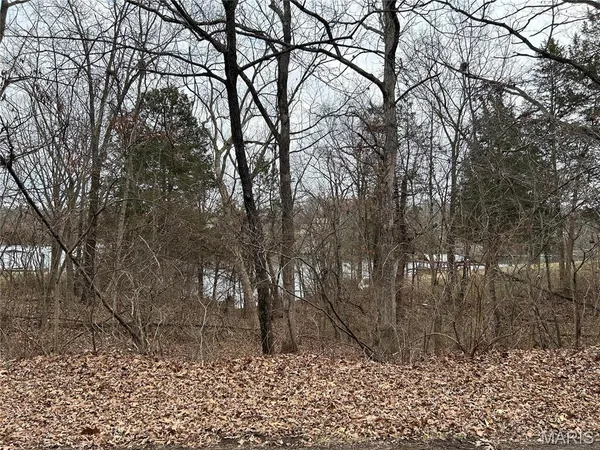 $13,998 | 0 Section 5 Lots 10 & 11, De Soto, MO 63020