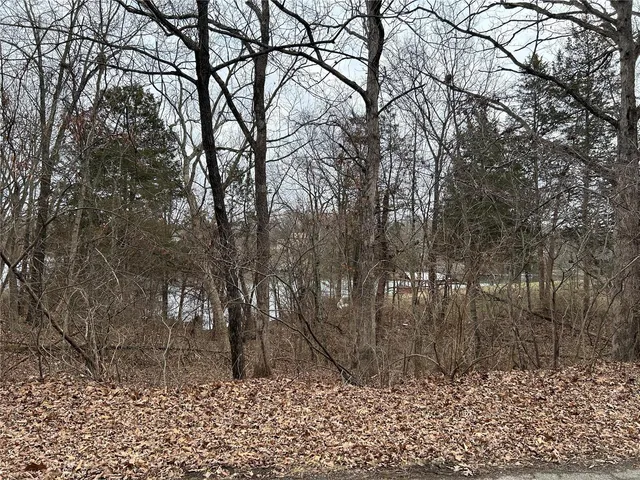 $16,000 | 0 Section 5 Lots 10 & 11, De Soto, MO 63020