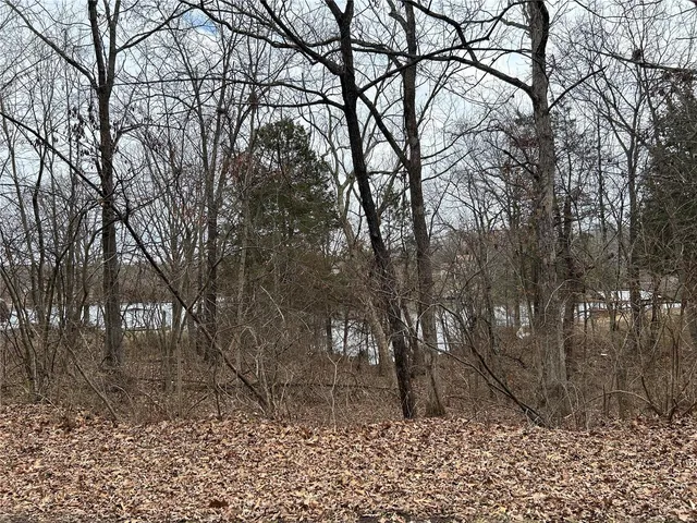 $16,000 | 0 Section 5 Lots 10 & 11, De Soto, MO 63020
