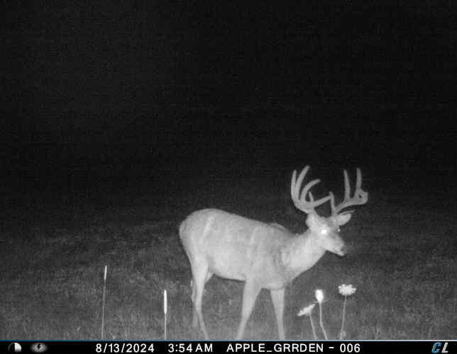 3250 Woiderski Road Cheboygan, MI 49721 - Photo 73 of 79 2