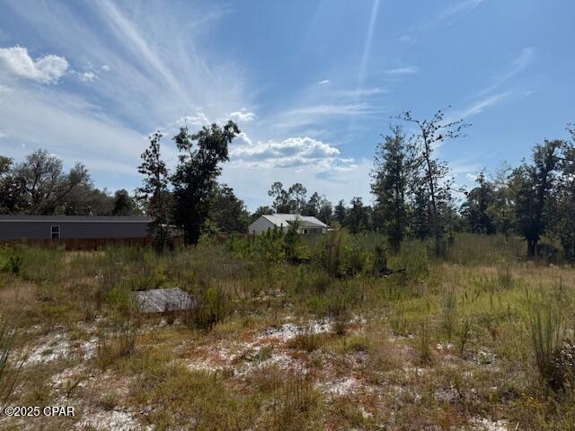 0 Nelson Road Southport, FL 32409 - Photo 2 of 11 Gallery Image 2