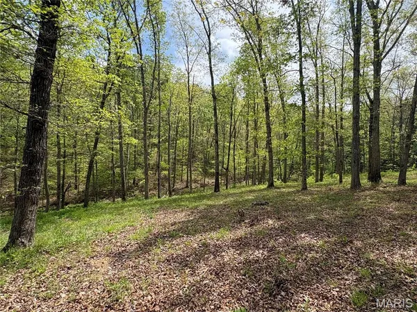 $525,000 | 10405 County Road 700, Ellington, MO 63638