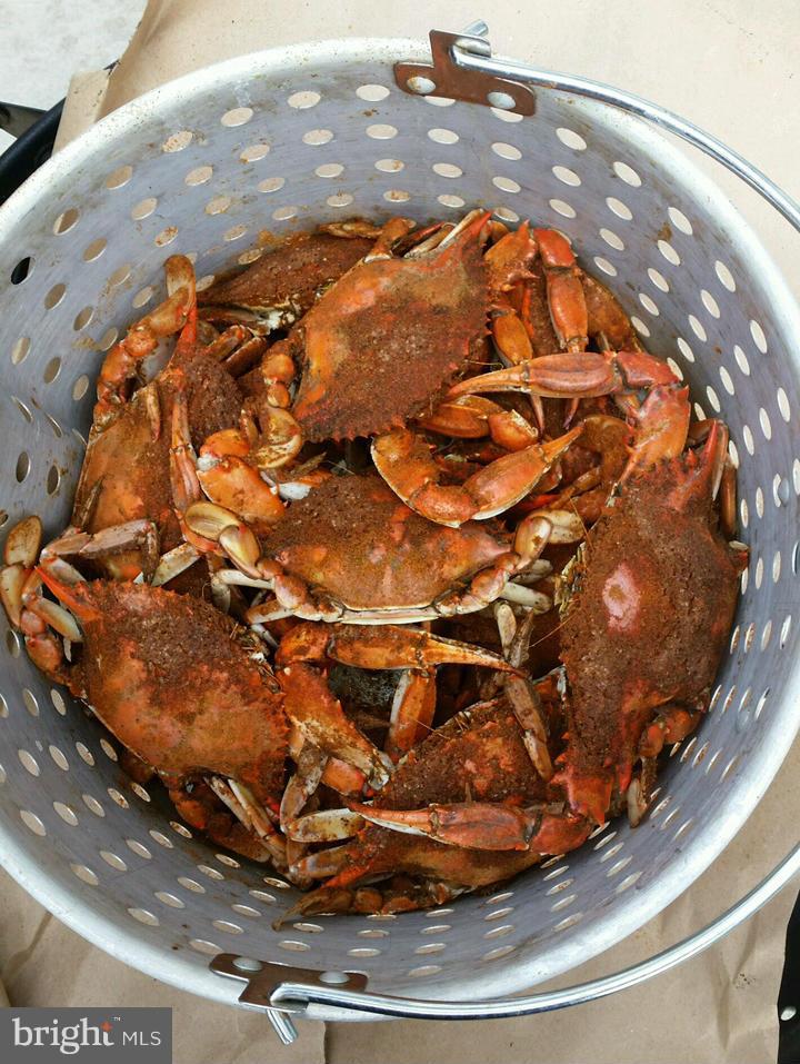 7988 West Riverside Drive Pasadena, MD 21122 - Photo 9 of 30 Crabs Caught Off Your Private Pier
