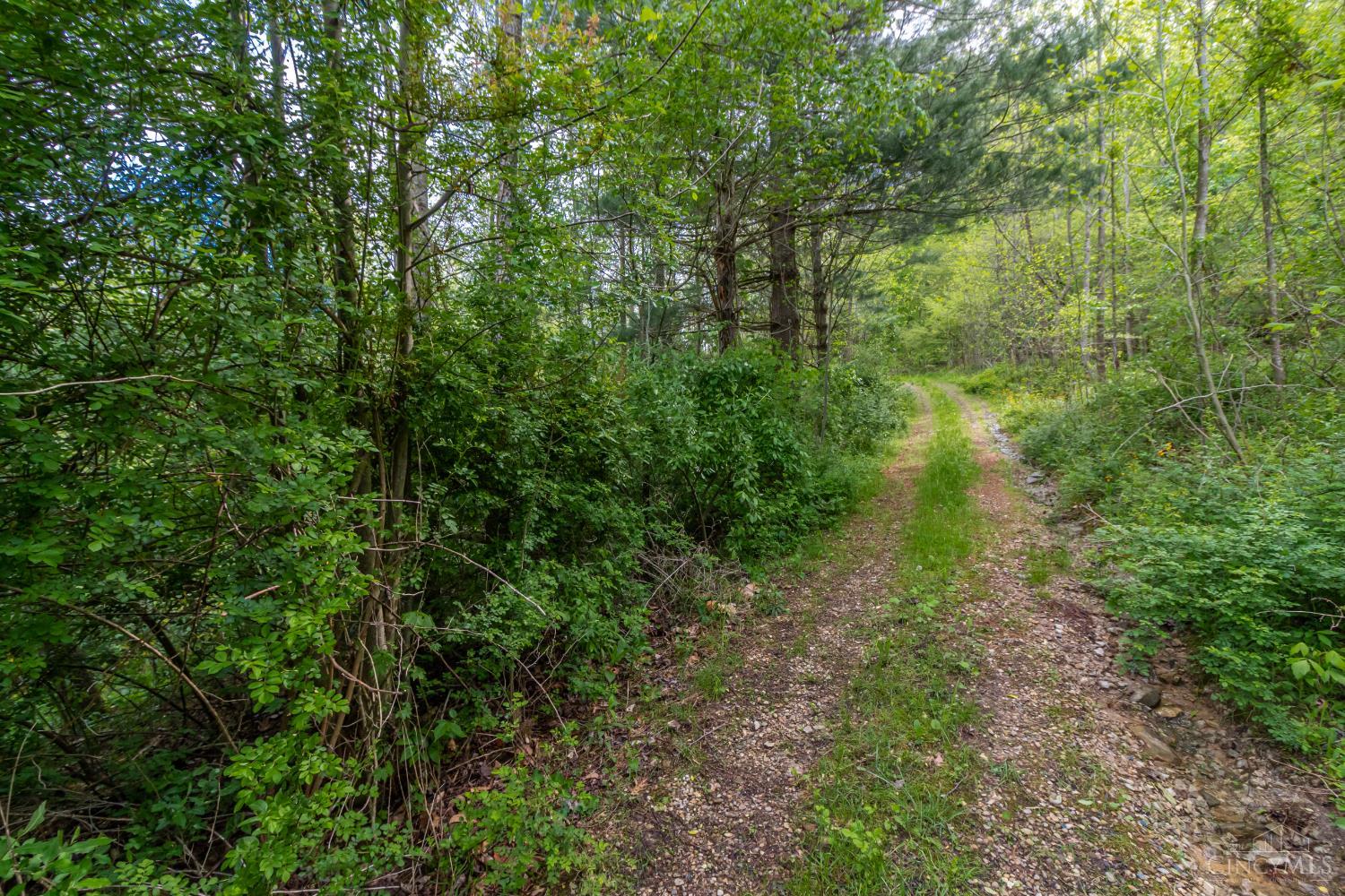 2432 Johnson Run Road Stout, OH 45684 - Photo 5 of 57 Gallery Image 5