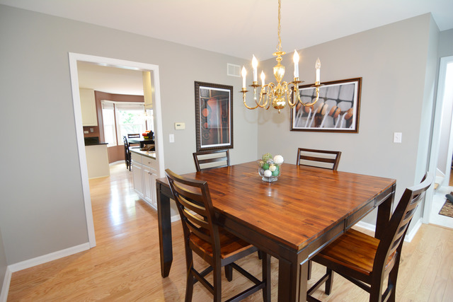 2831 Randall Ridge Court Elgin, IL 60124 - Photo 5 of 25