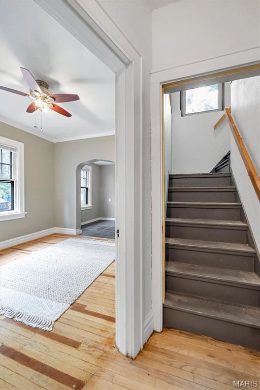 439 North Laclede Station Road St. Louis, MO 63119 - Photo 20 of 35