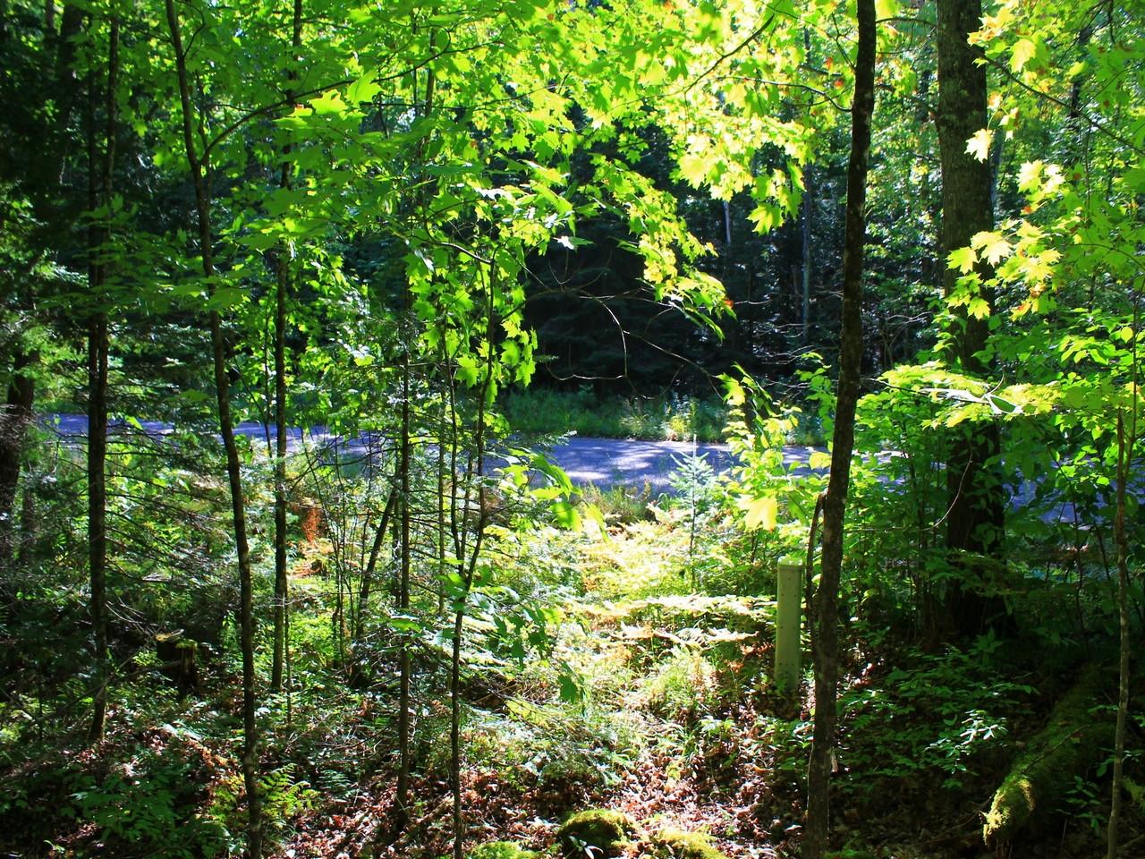 On East Bay Road Presque Isle, WI 54557 - Photo 23 of 34 Gallery Image 23