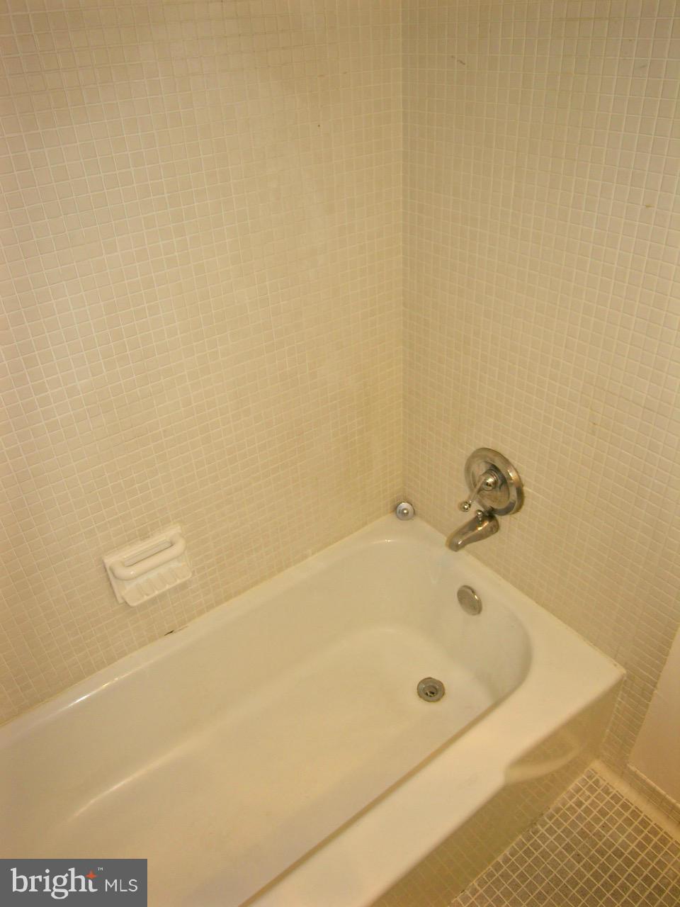 1245 4th Street Southwest, Unit E511 Washington, DC 20024 - Photo 13 of 25 Bath