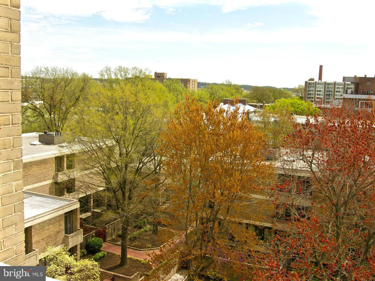 1245 4th Street Southwest, Unit E511 Washington, DC 20024 - Photo 18 of 25 View