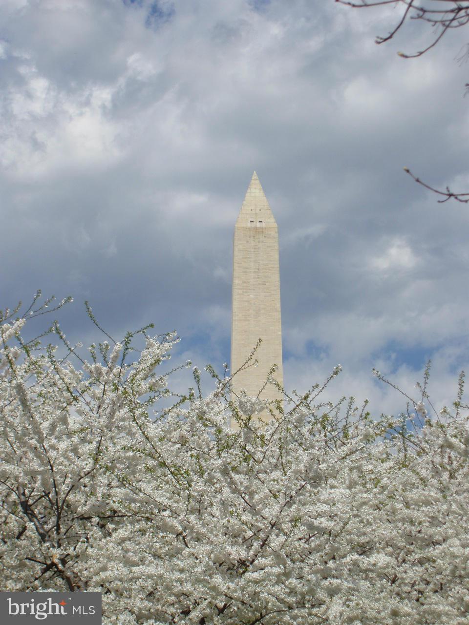 1245 4th Street Southwest, Unit E511 Washington, DC 20024 - Photo 25 of 25 Spring is here!