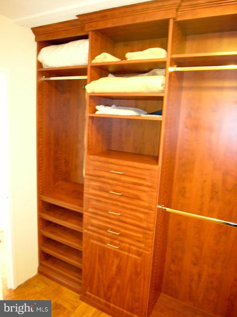 1245 4th Street Southwest, Unit E511 Washington, DC 20024 - Photo 10 of 25 Custom Closet System