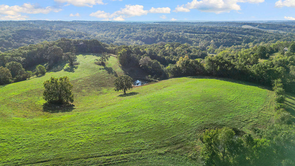 Tbd Tbd Raven Road Noel, MO 64854 - Photo 12 of 16 PictureProvisionProfessionalALRCPP---6