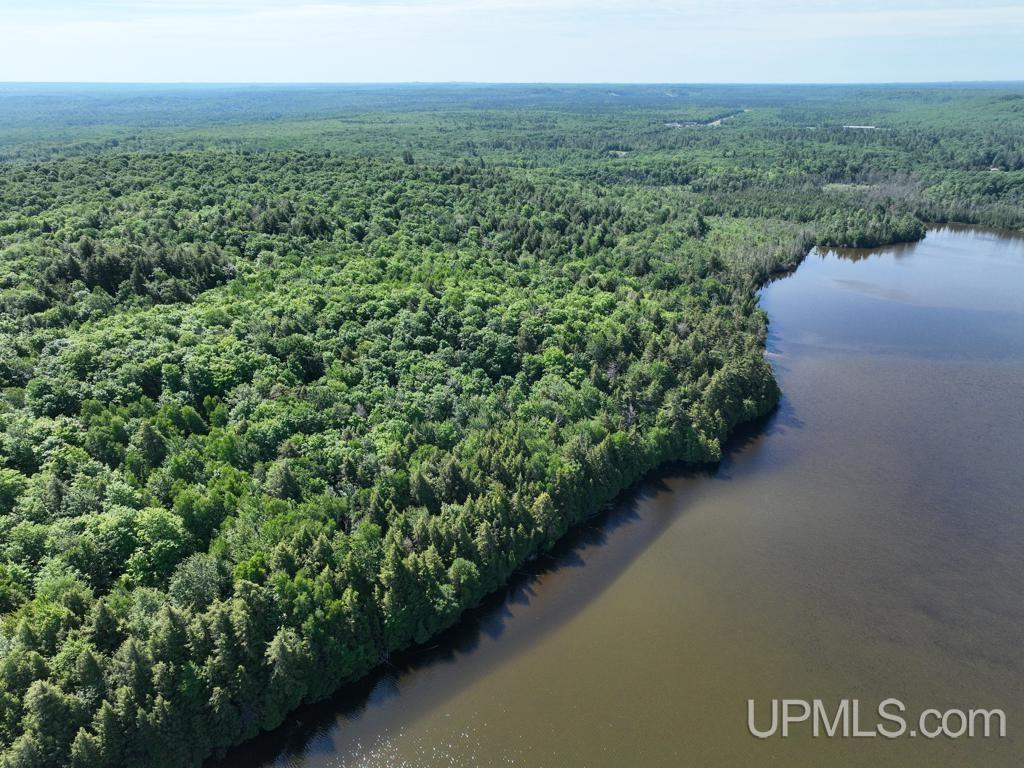 0 County Road 553 Road Marquette, MI 49855 - Photo 12 of 38