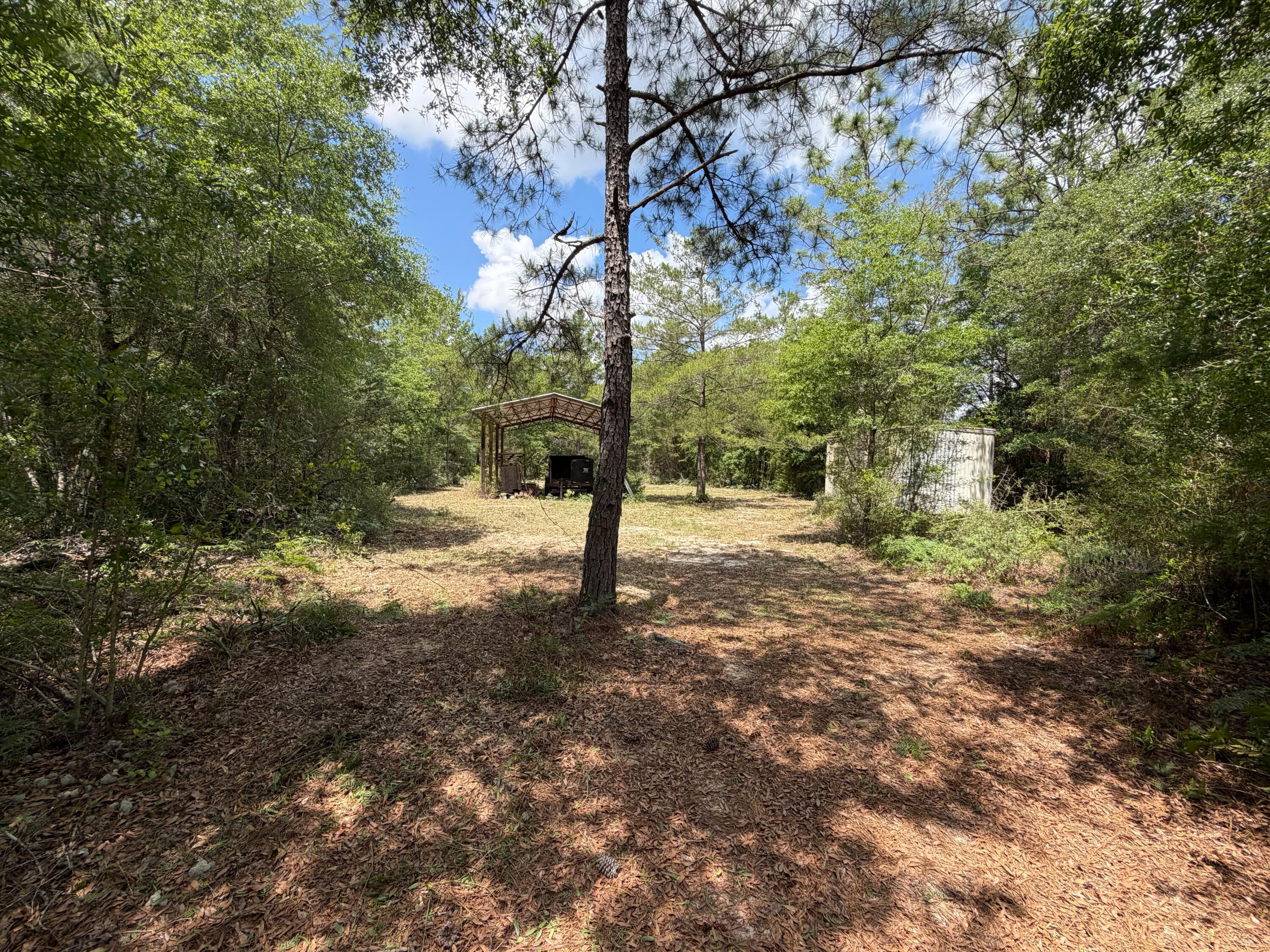 0 Laird Road Crestview, FL 32539 - Photo 10 of 59 IMG_0694