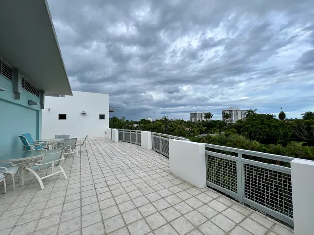 a view of a garden with plants