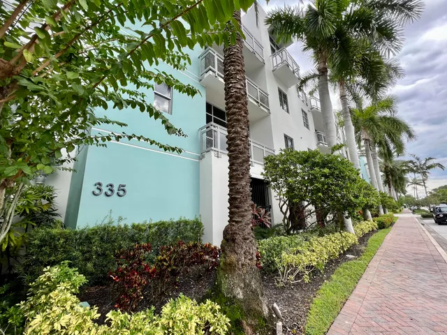 a view of a white house with a large tree and a potted plant and palm trees