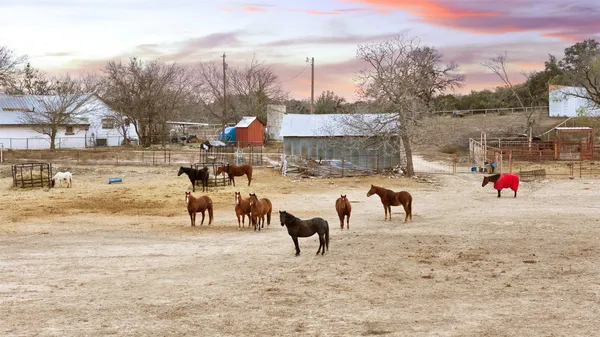$2,250,000 | 1274 County Road 2806, Lampasas, TX 76550