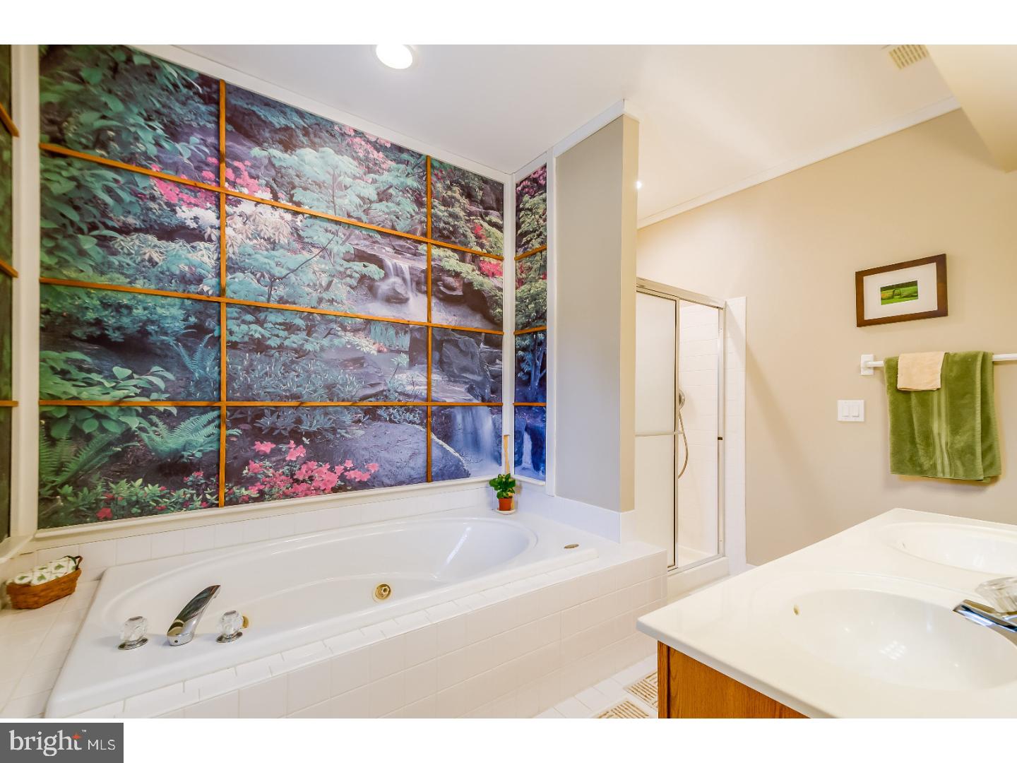 48 Mayfair Road Southampton, NJ 08088 - Photo 15 of 25 Master Bathroom