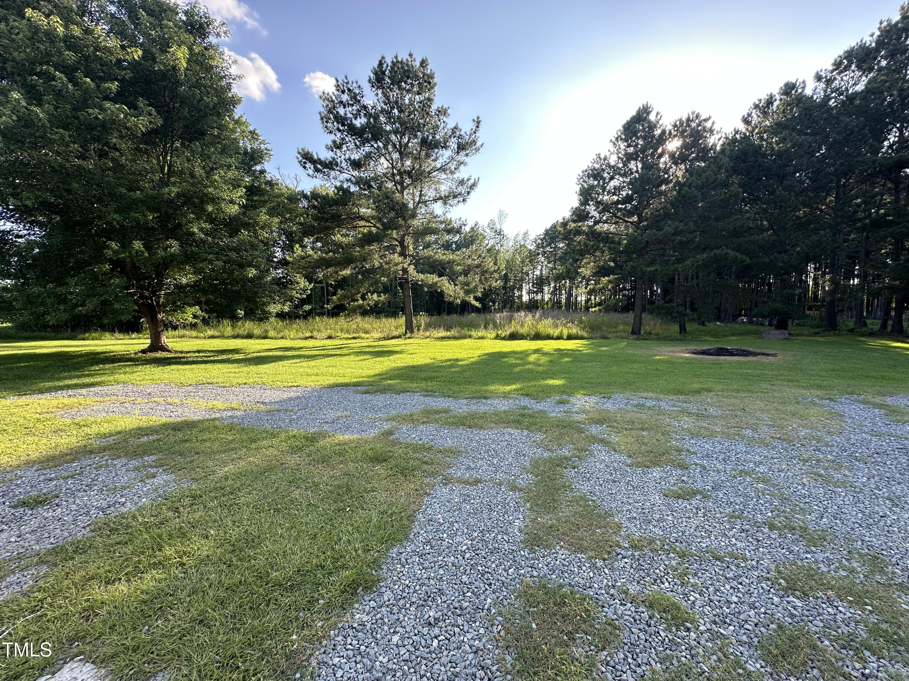 1289 Rhondale Road Selma, NC 27576 - Photo 17 of 18 back yard view