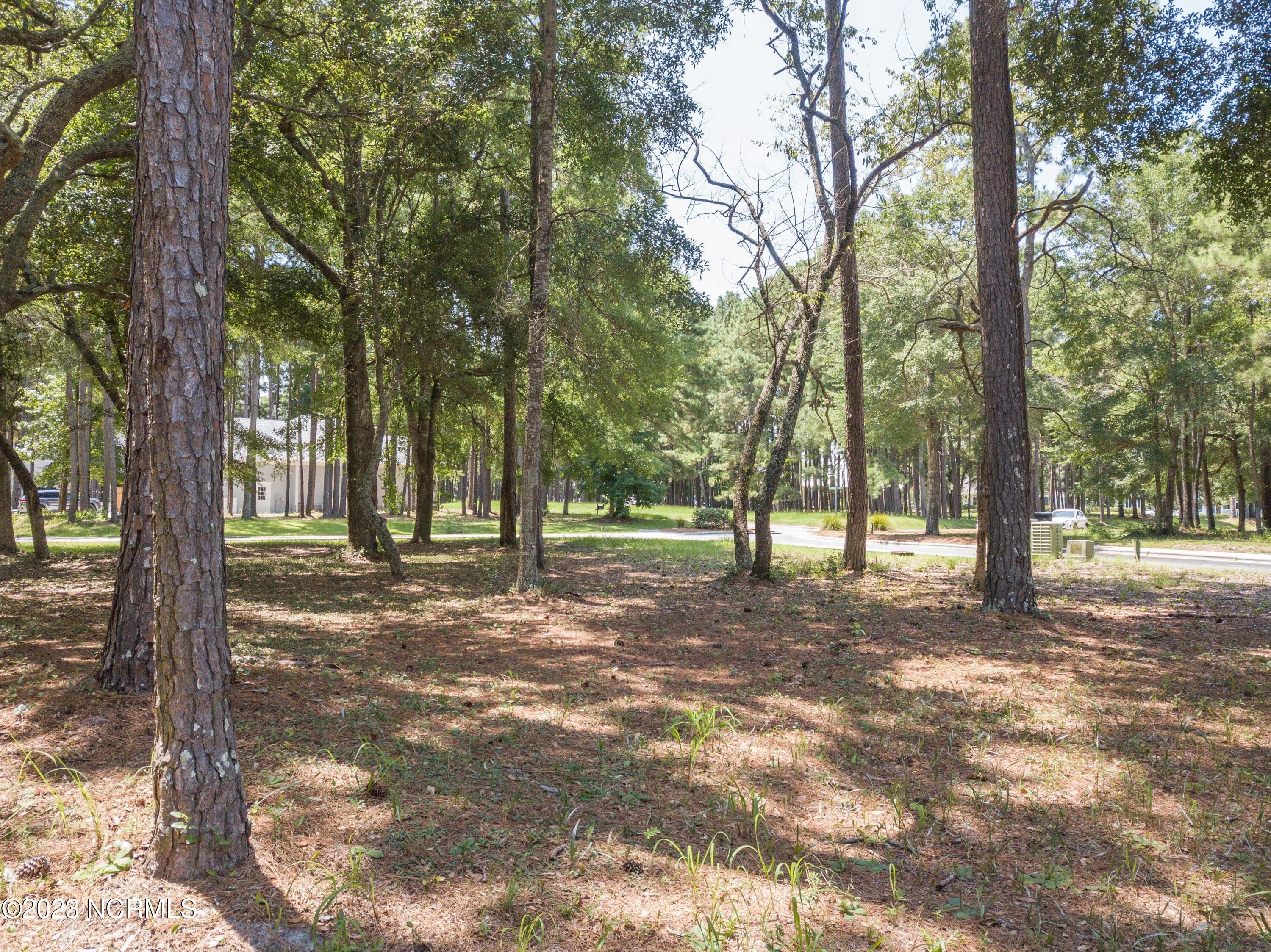 9136 East Bramshill Road Southwest Calabash, NC 28467 - Photo 6 of 11 Charleston style community