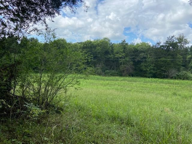 0 Pleasant Hill Road Philadelphia, TN 37846 - Photo 1 of 17