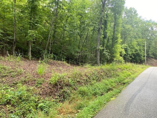 0 Pleasant Hill Road Philadelphia, TN 37846 - Photo 12 of 17