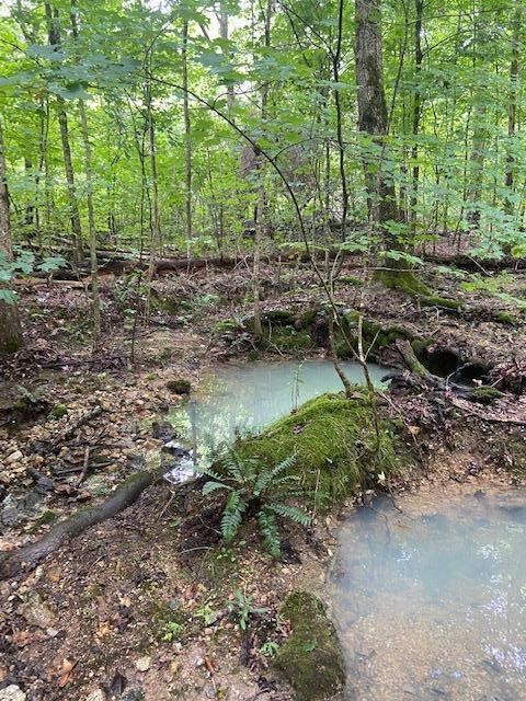 0 Pleasant Hill Road Philadelphia, TN 37846 - Photo 13 of 17