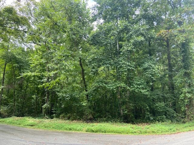 0 Pleasant Hill Road Philadelphia, TN 37846 - Photo 14 of 17