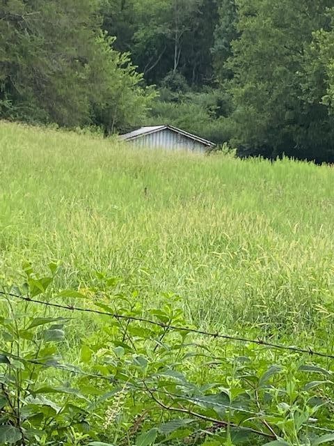 0 Pleasant Hill Road Philadelphia, TN 37846 - Photo 2 of 17